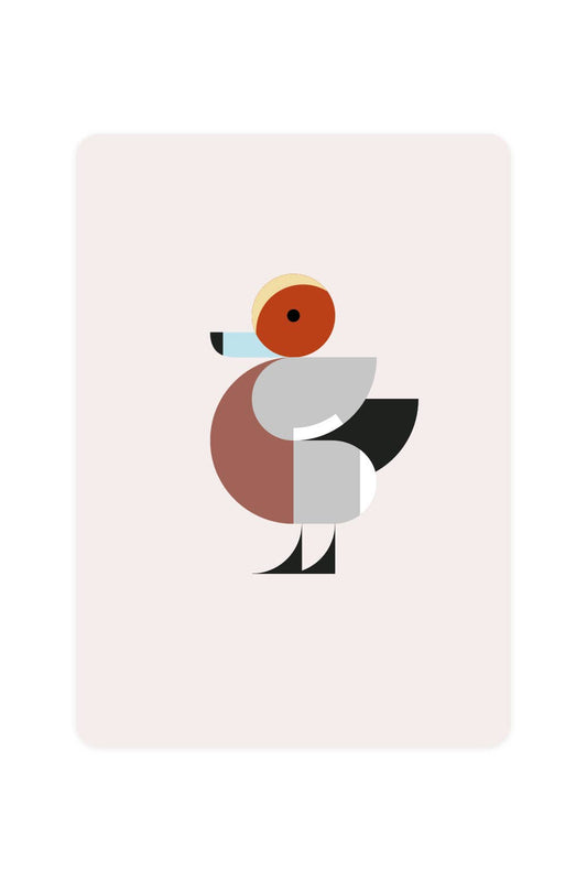 Carte postale avec Wigeon