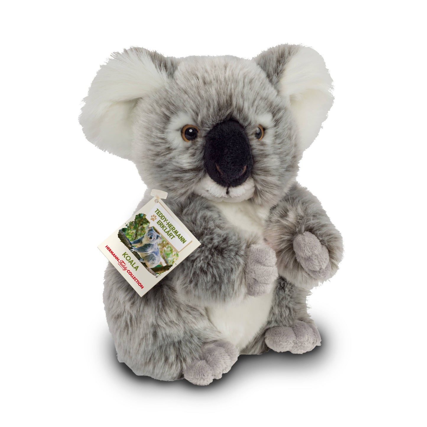 Peluche Koala