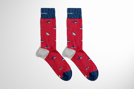 Chaussettes Requin en Coton Bio Sans Couture