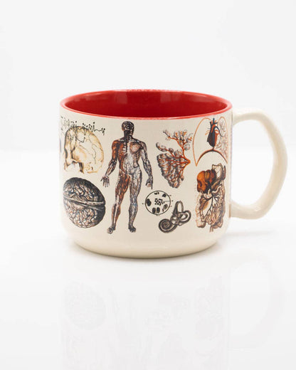 Anatomie Mug vasculaire (430 ml) – produit scientifique Cognitive Surplus EU, vue 1