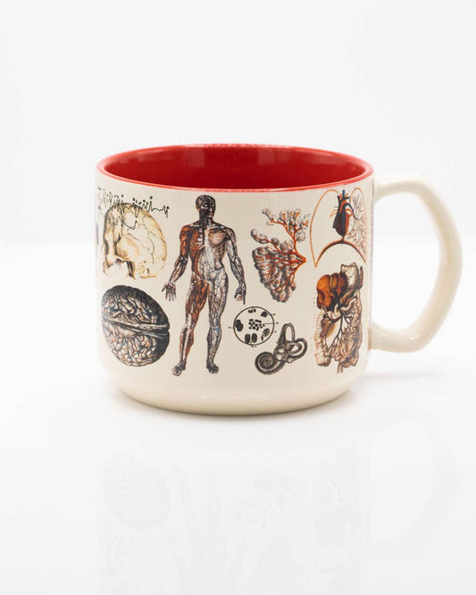 Anatomie Mug vasculaire (430 ml) – produit scientifique Cognitive Surplus EU, vue 1