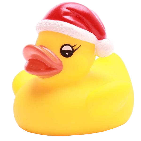 Petit Canard de Noël