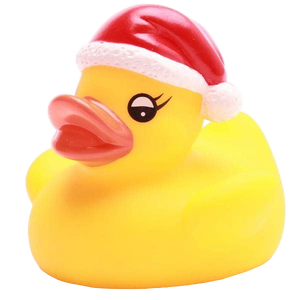 Piccola anatra di Natale