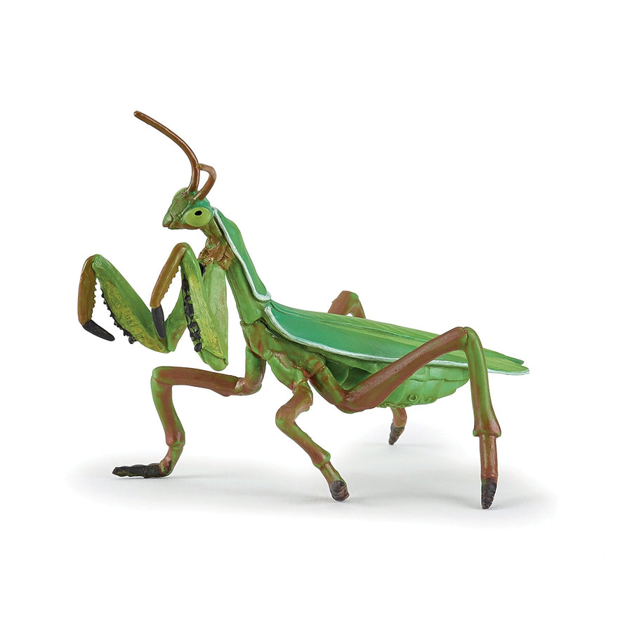 Mantis