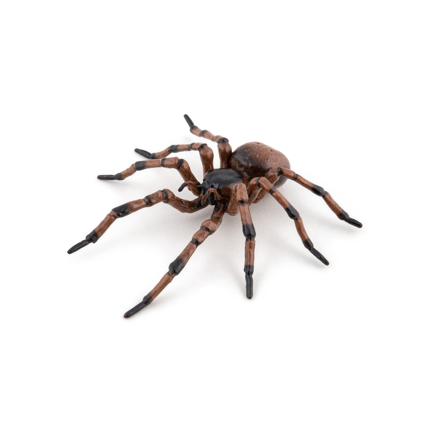 Figurine Araignée commune