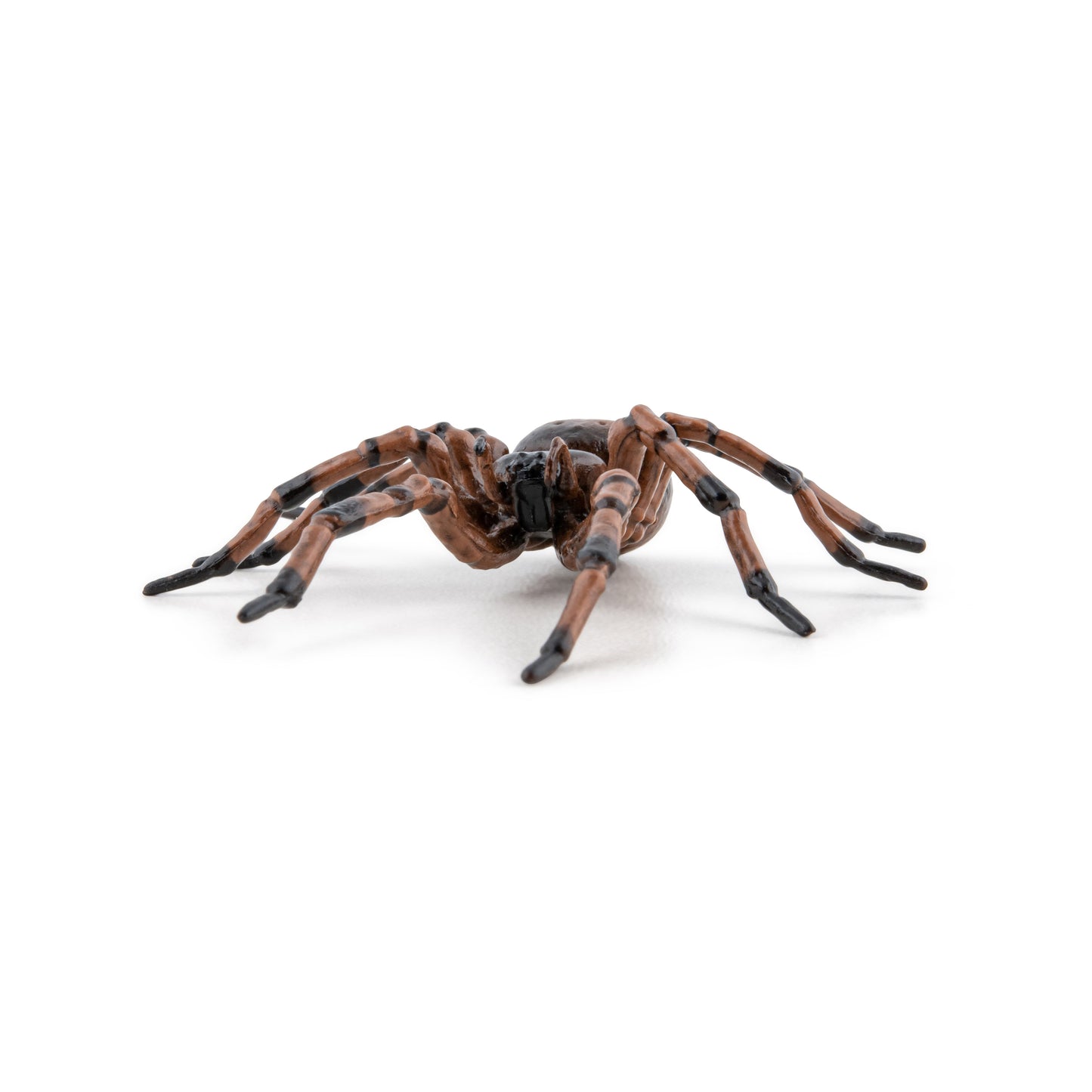 Figurine Araignée commune