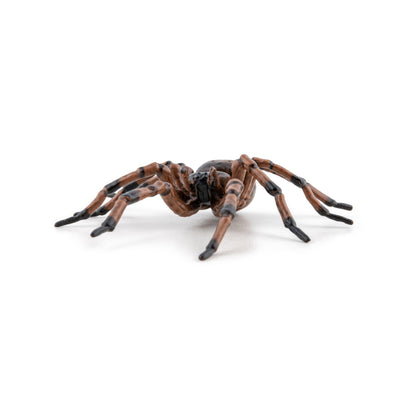 Figurine Araignée commune