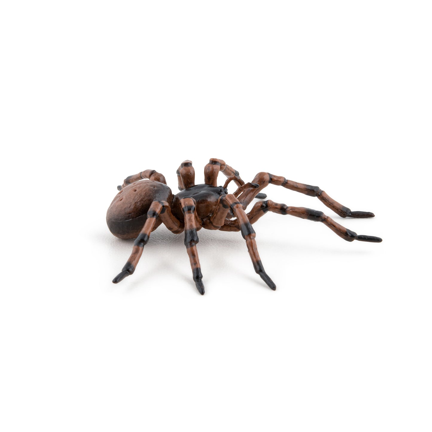 Figurine Araignée commune