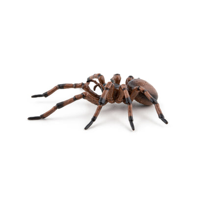 Figurine Araignée commune