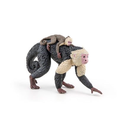 Figurine Capucin