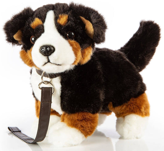 Bernese Mountain Dog plush toy, standing (with leash)