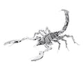 Scorpio