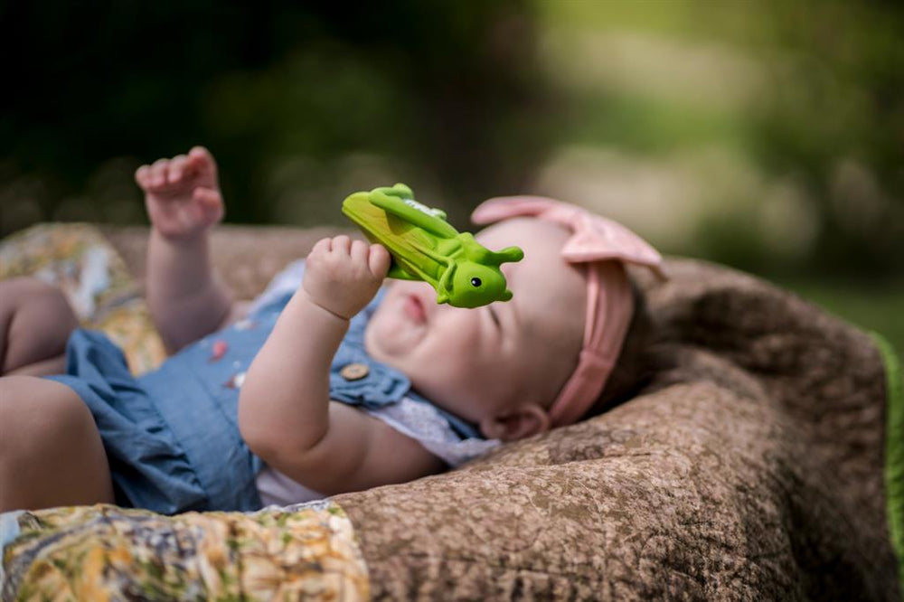 My First Garden Friends – Grasshopper