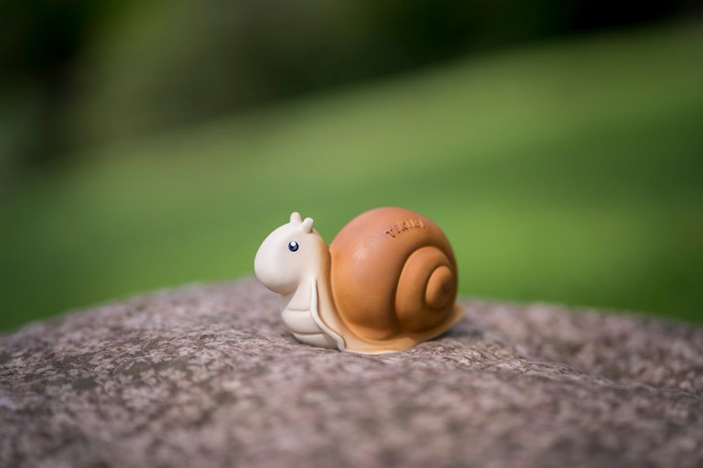 Mon Premier Animal du Jardin – Escargot