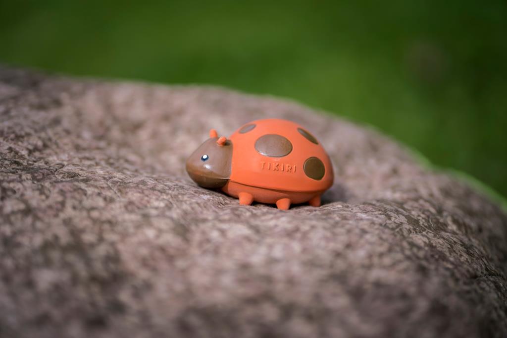 My First Garden Friends – Coccinella