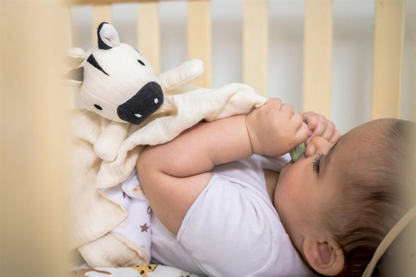 Peluche a forma di zebra con supporto per la dentizione