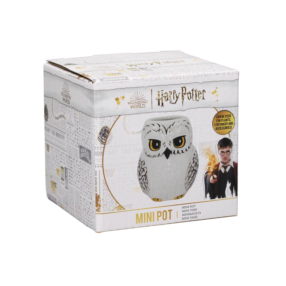 Petite Boîte en Forme de Pot Harry Potter - Hedwige