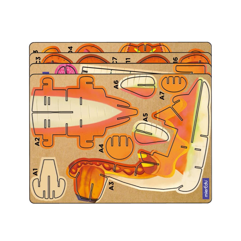 Rompecabezas 3D - Braquiosaurio