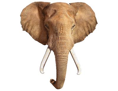 Rompecabezas del elefante