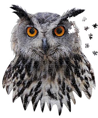 Puzzle I Am - Hibou