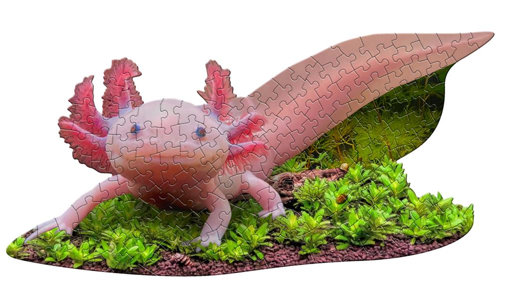 Puzzle Axolotl