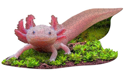 Puzzle Axolotl