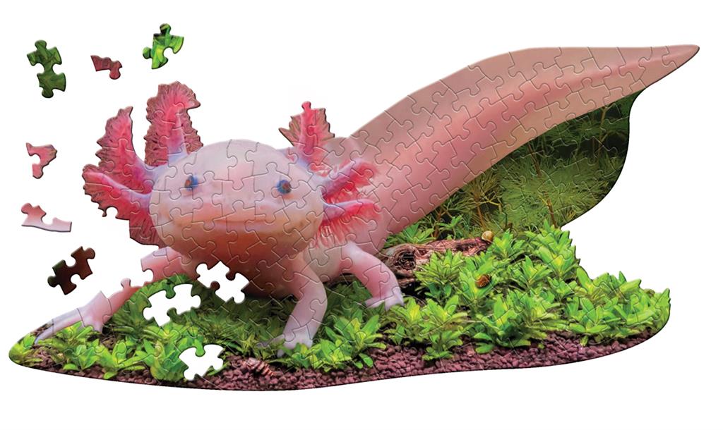 Puzzle Axolotl