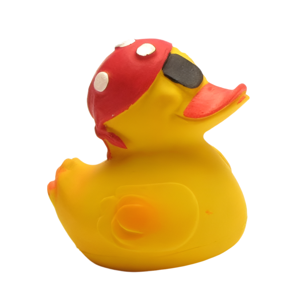 Pato pirata