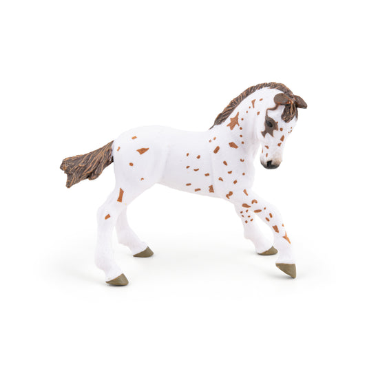 Figurine Poulain appaloosa brun