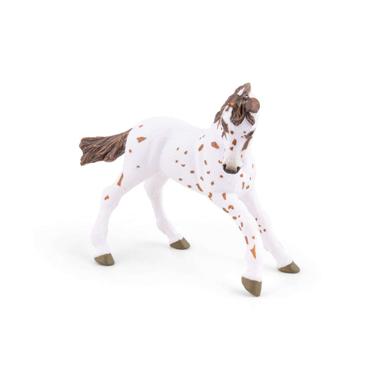 Figurine Poulain appaloosa brun