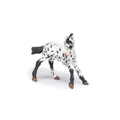 Black Appaloosa Colt Figurine