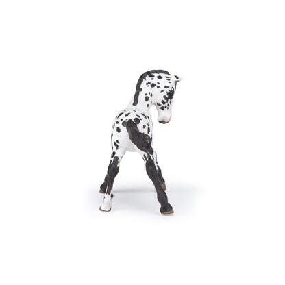 Black Appaloosa Colt Figurine