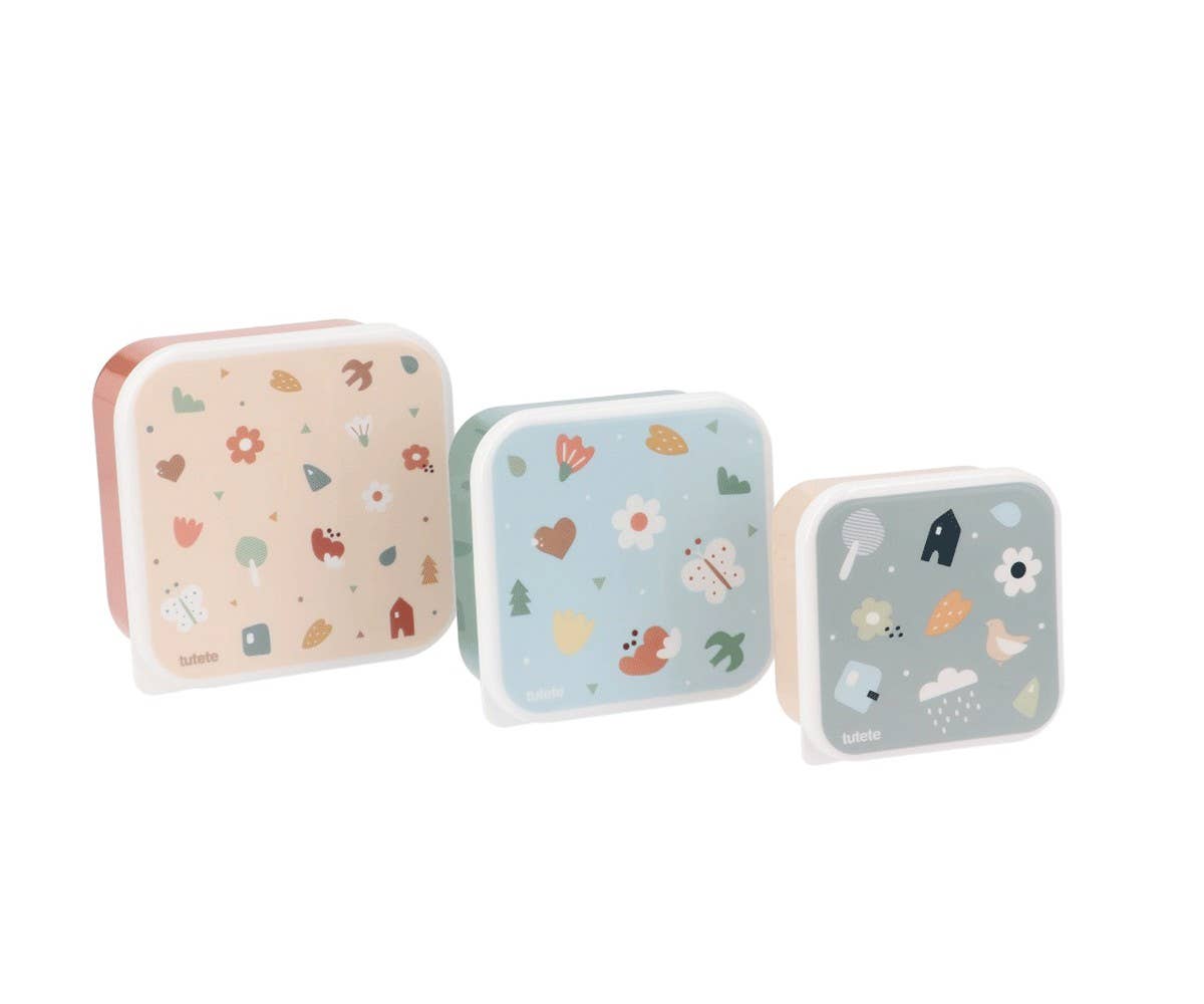 3 Geometric Nature Lunch Boxes