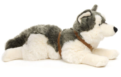 Peluche de husky, acostado (con arnés)