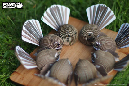 EUGY 3D - Rhipidure à collier