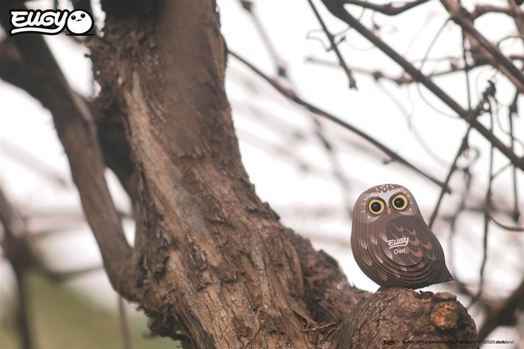 EUGY 3D - Hibou