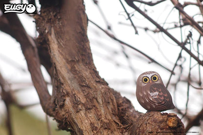 EUGY 3D - Hibou