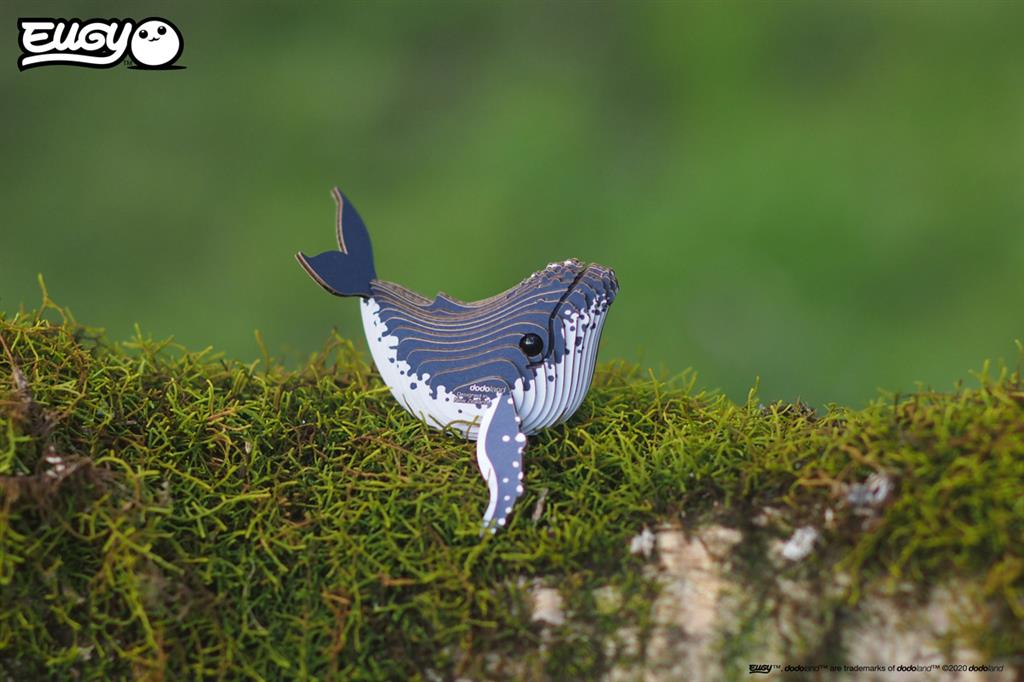 EUGY 3D - Ballena jorobada