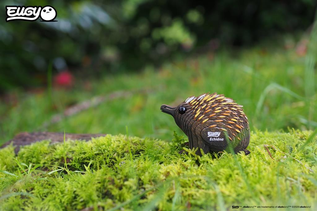 EUGY 3D - Equidna