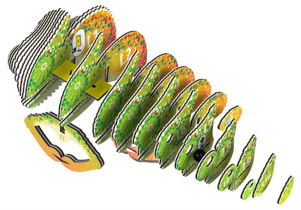 EUGY 3D - Caméléon