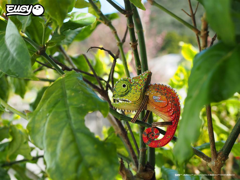 EUGY 3D - Caméléon