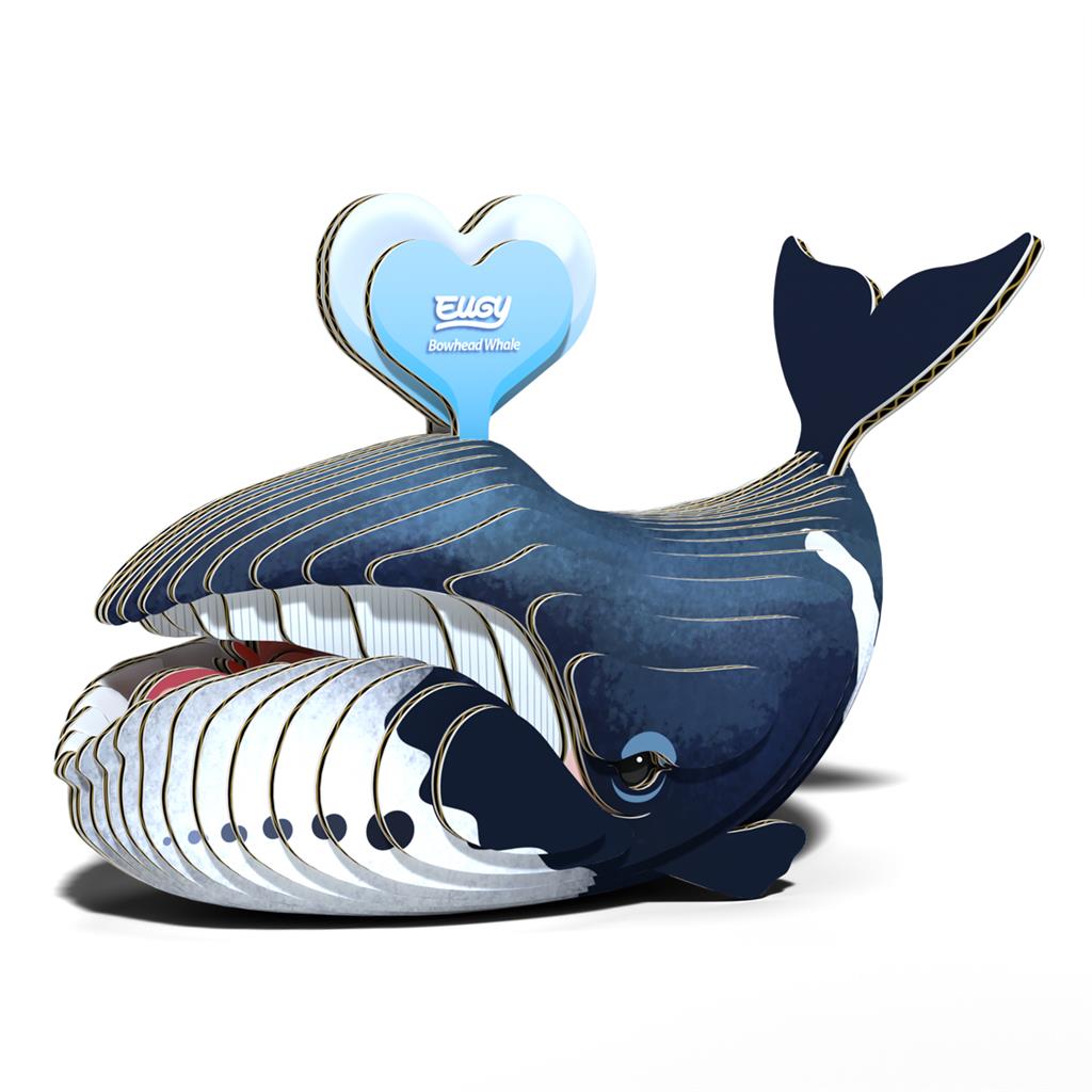 EUGY 3D - Ballena de Groenlandia