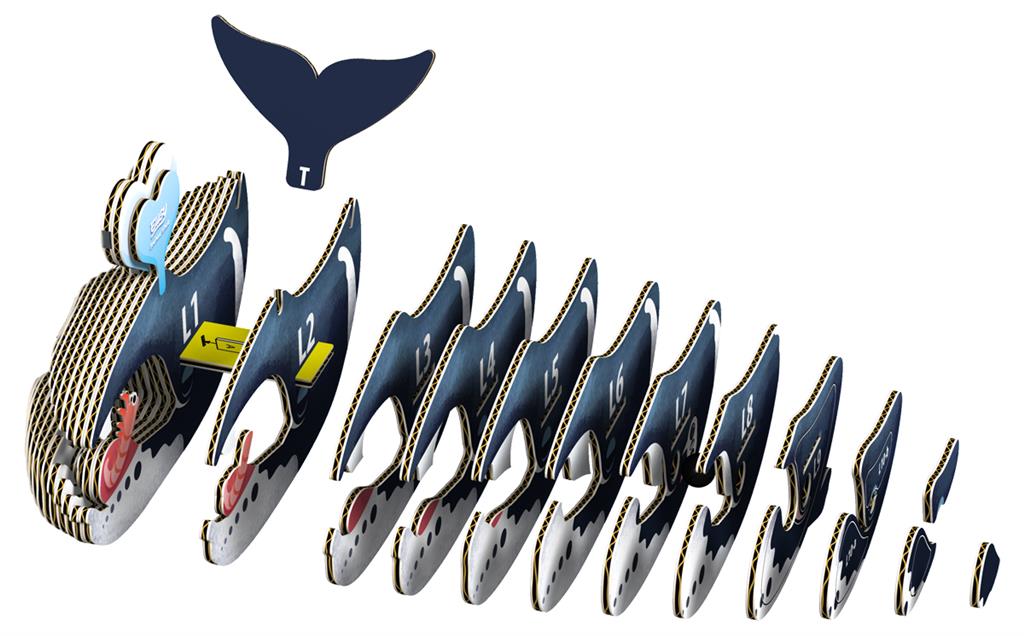 EUGY 3D - Ballena de Groenlandia