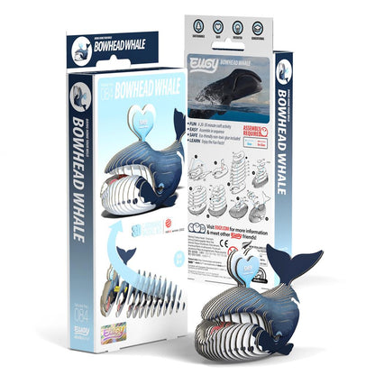 EUGY 3D - Ballena de Groenlandia