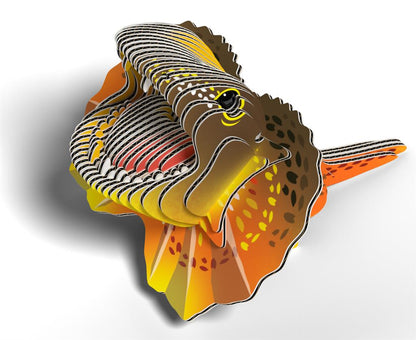 EUGY 3D - Lagarto de cuello volante