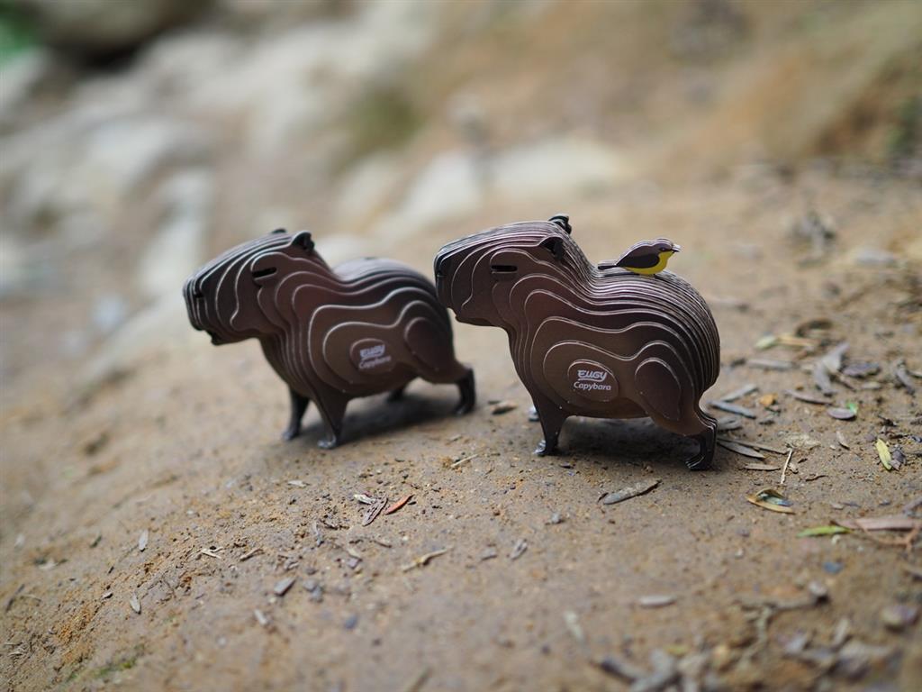 EUGY 3D - Capibara
