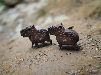 EUGY 3D - Capibara