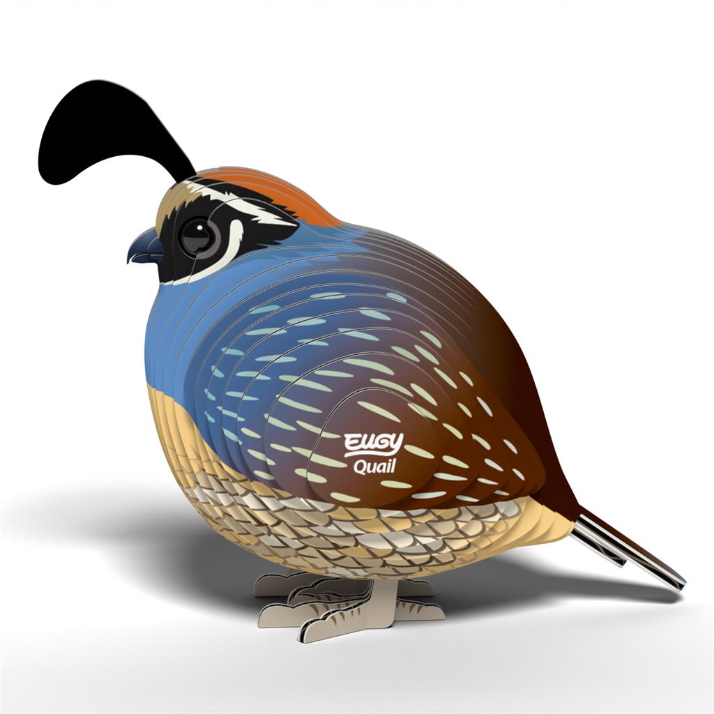 EUGY 3D - Quail