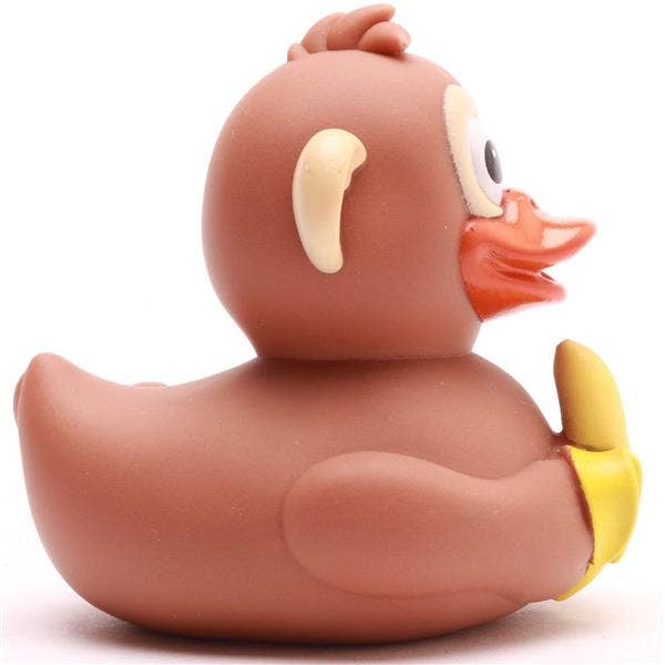 Canard Singe