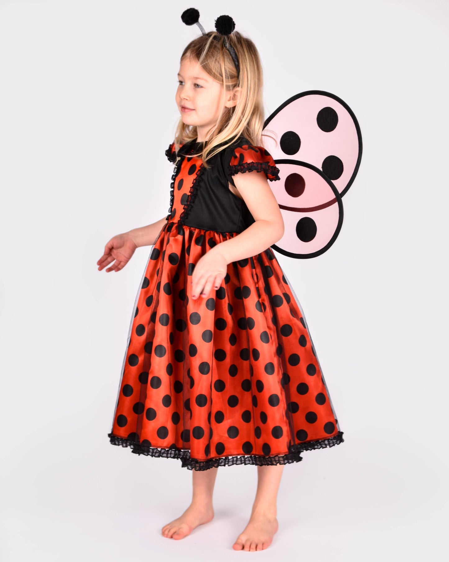 Ladybug dress with accessories for 2-4 years (size 98-104 cm)